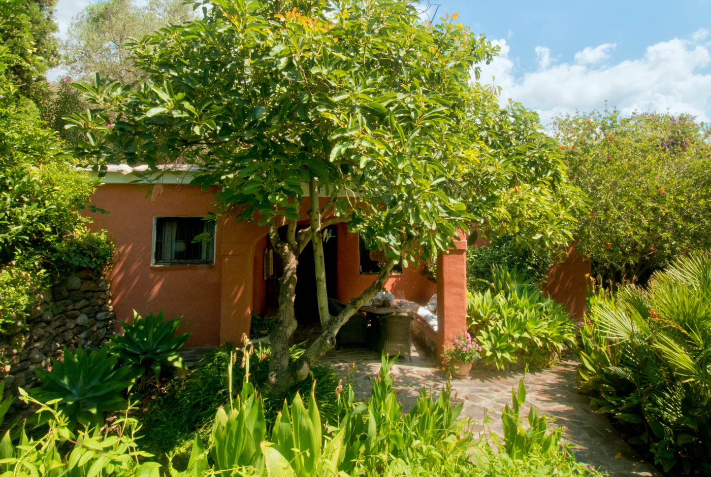 Hidden in tropical gardens