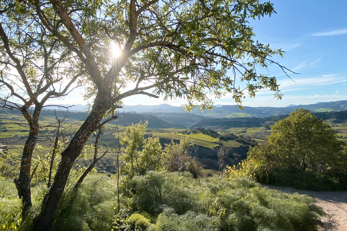 Zonas cercanas de la Serranía de Ronda