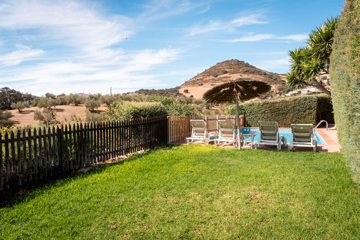 Zona de césped junto a piscina
