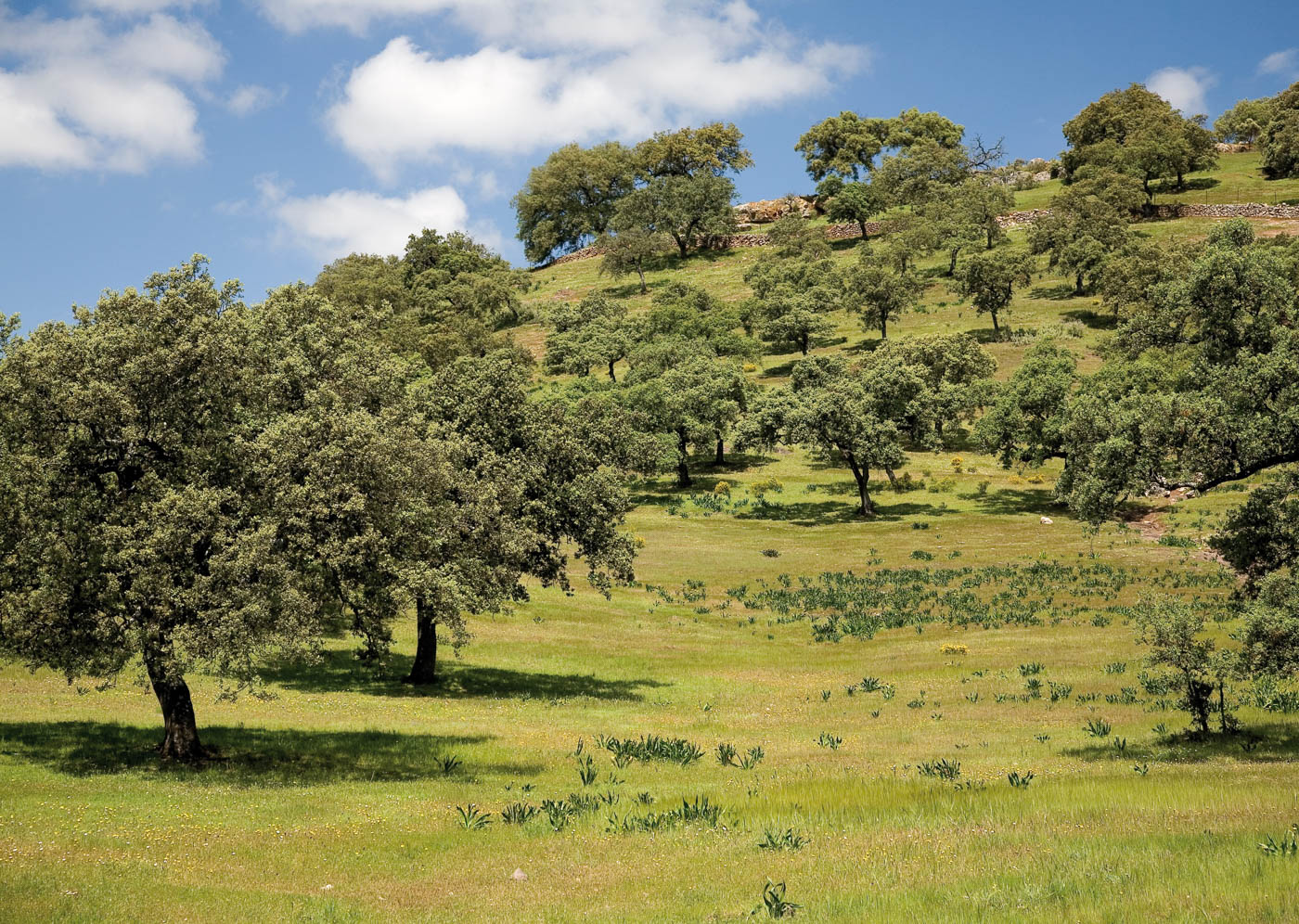 The surrounding countryside is glorious (photo in June)