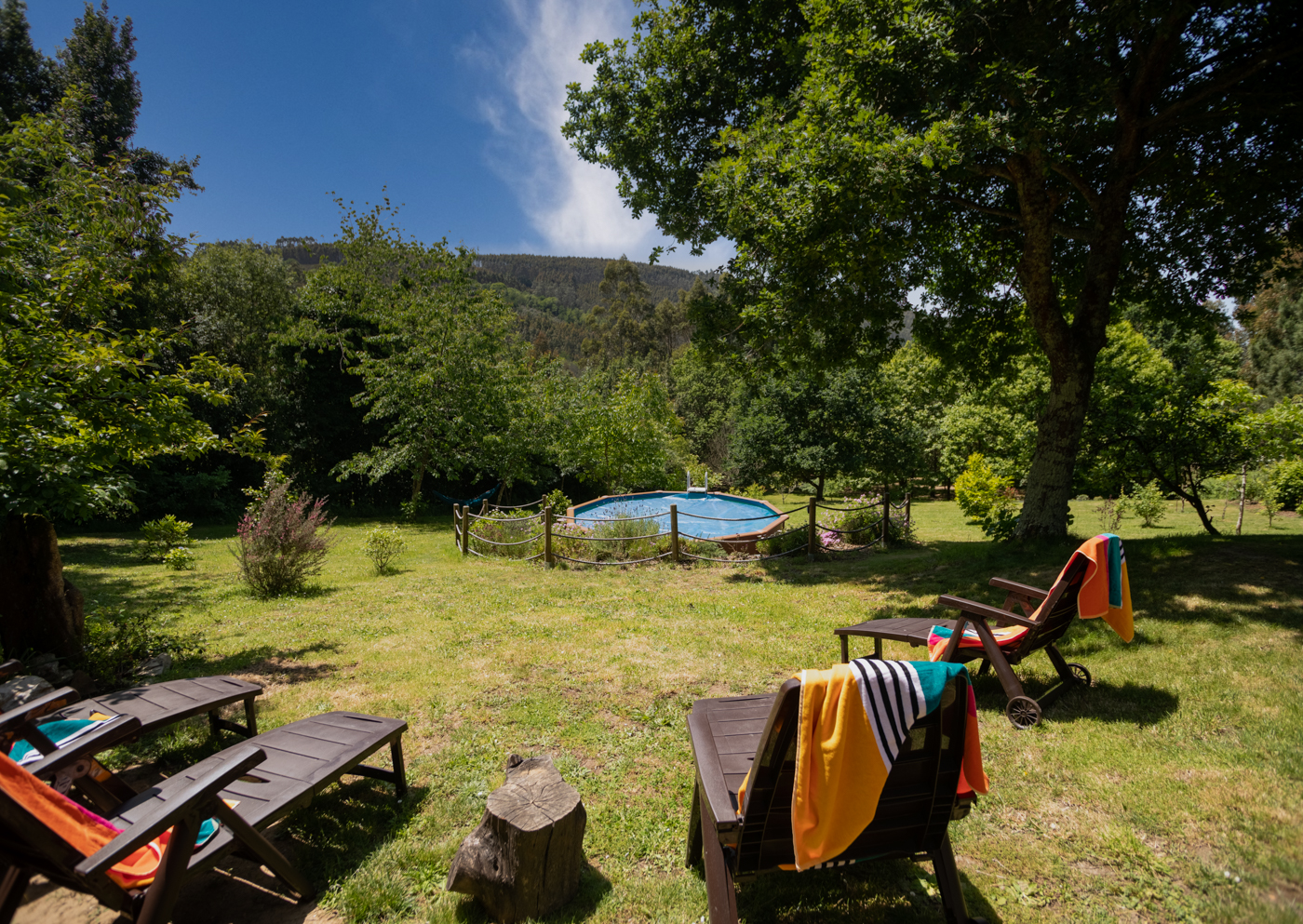 Amplios jardines traseros