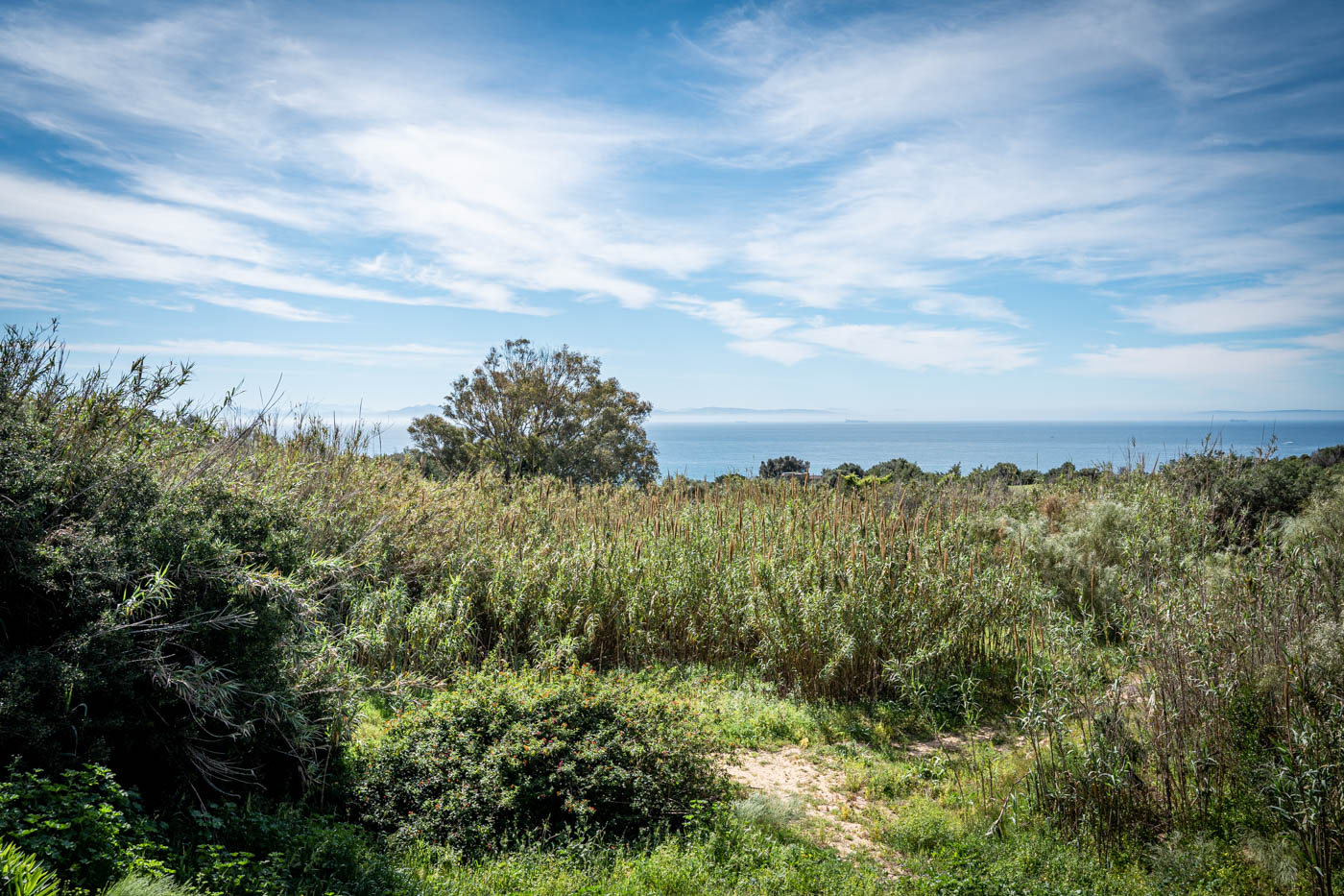 Walk to the beach (15 mins by foot)