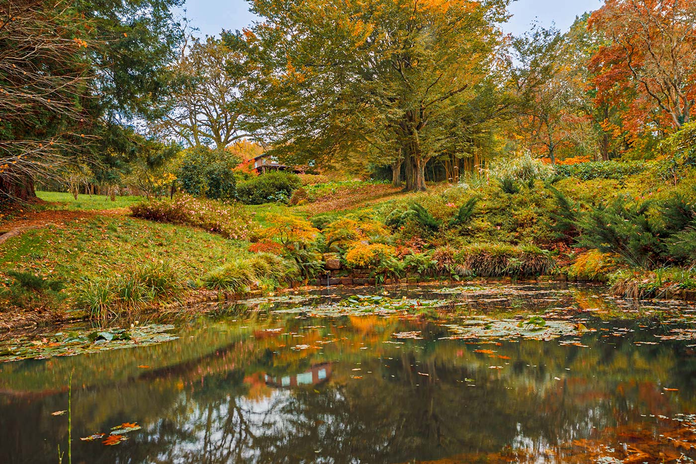 La casa asoma en medio del bosque en la distancia