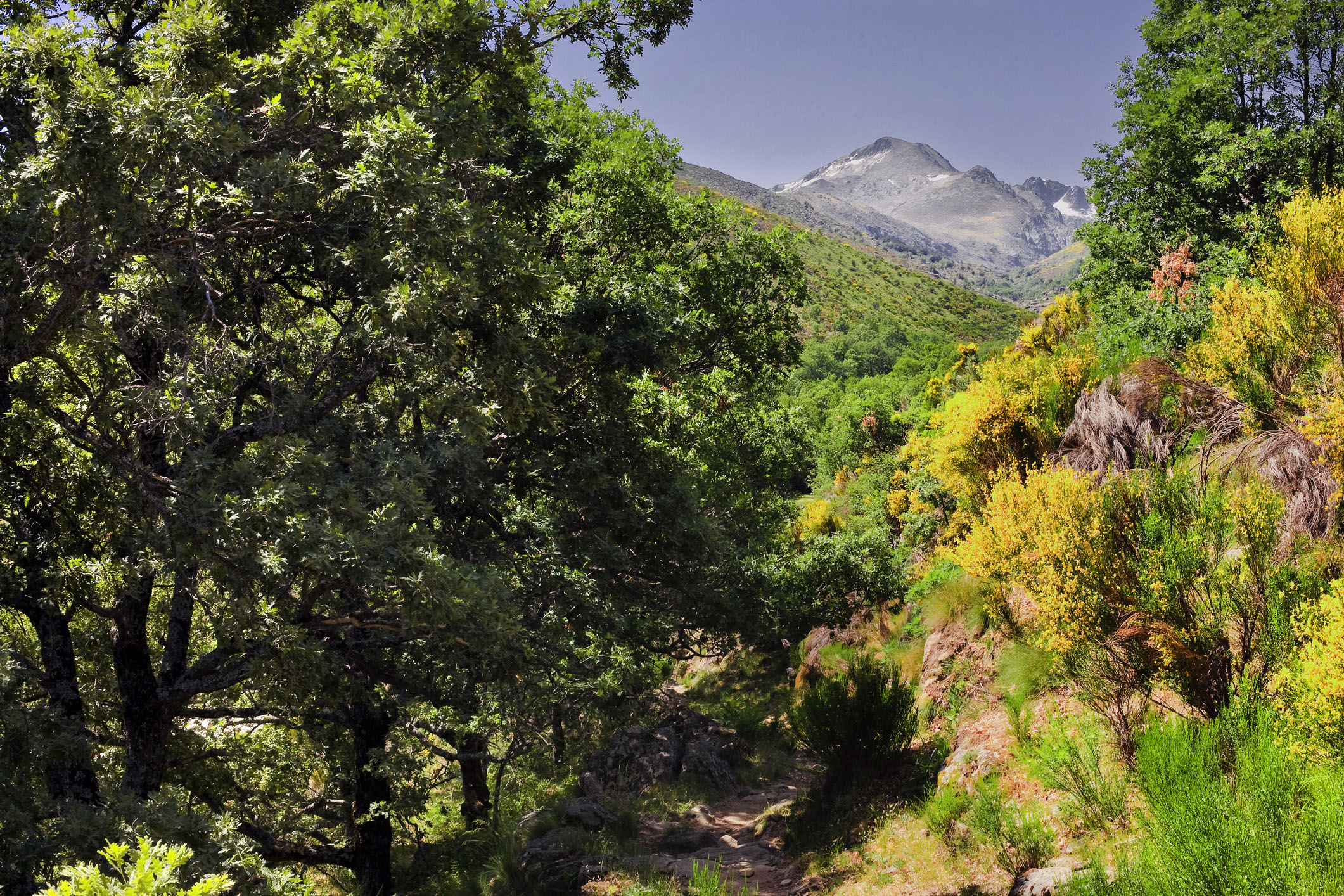 Gredos also mean rivers, high mountains and forests