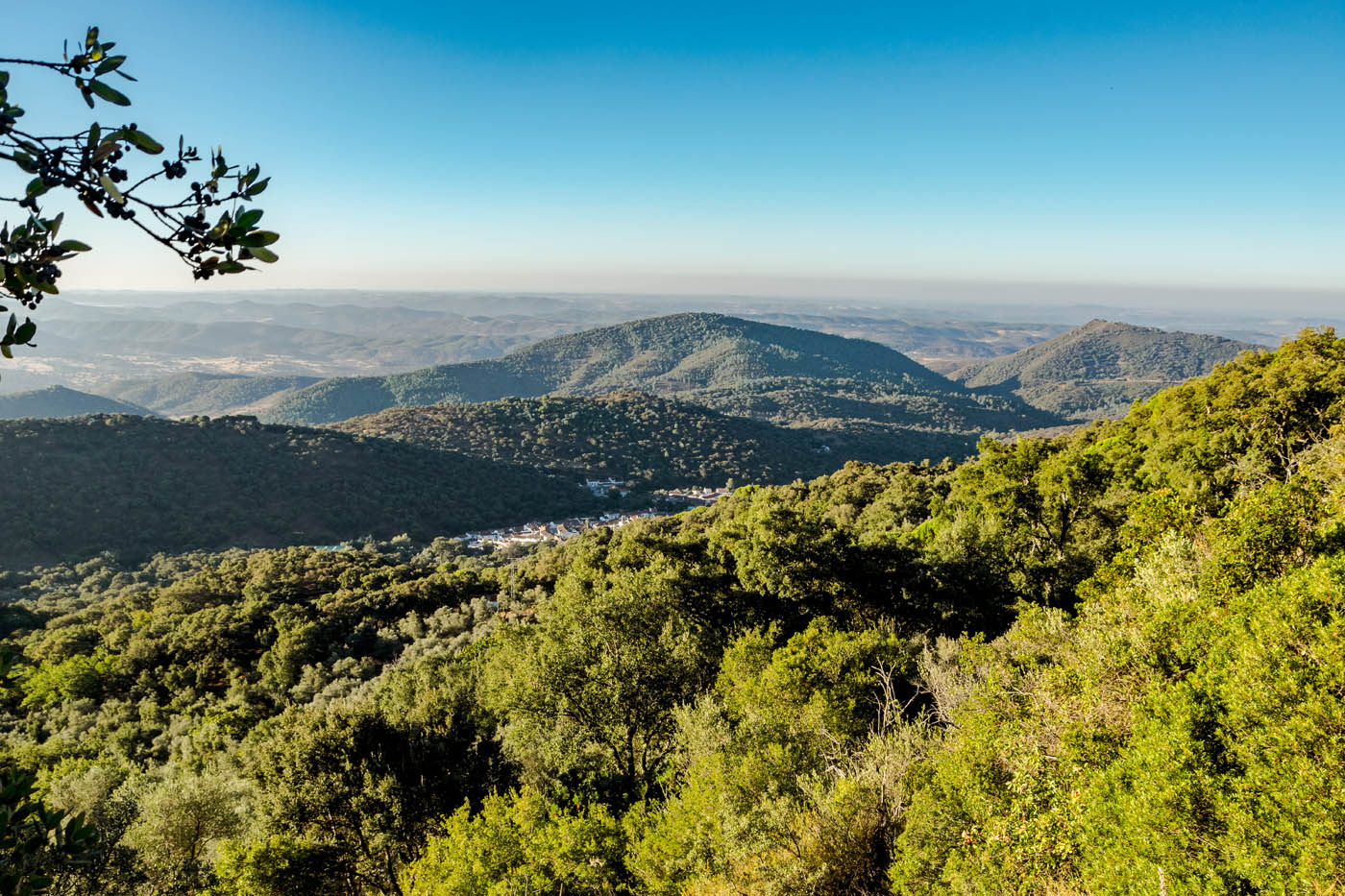 Su ubicación: el parque natural de Aracena