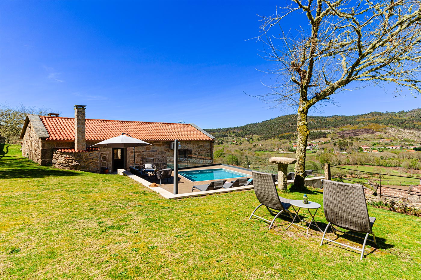 En verano los árboles nos darán sombra