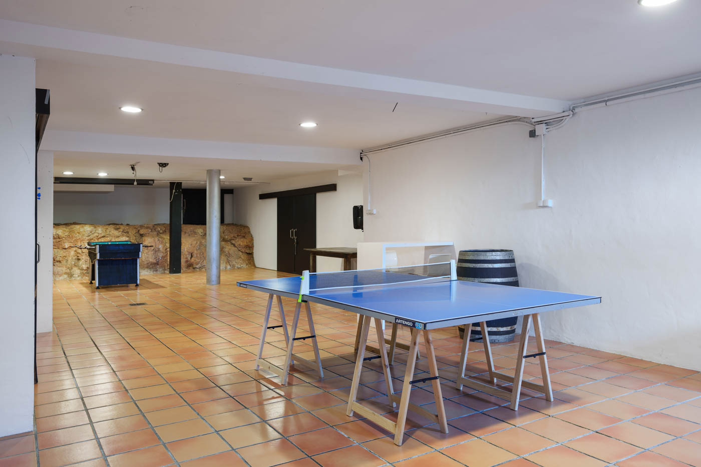 Basement with family games