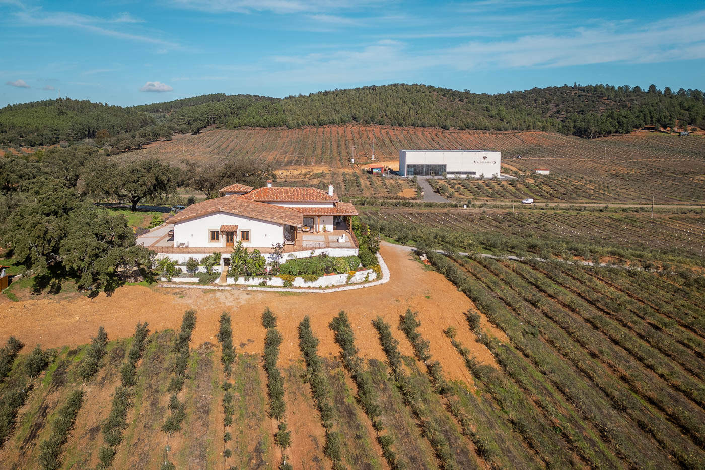 Tu villa con la almazara detrás donde se produce el riquísimo aceite