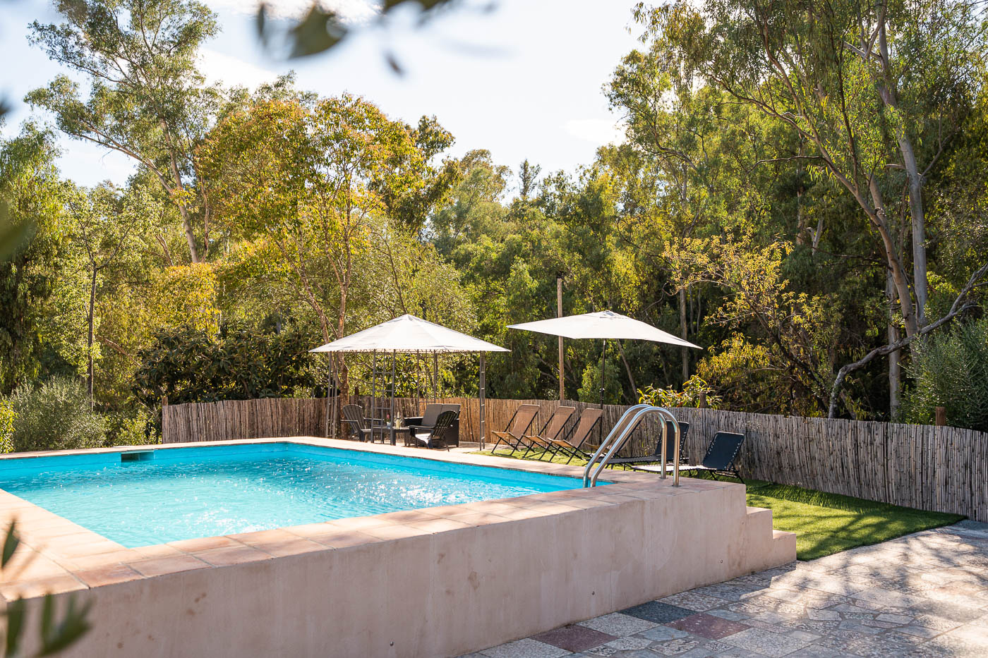 Pool area surrounded by trees