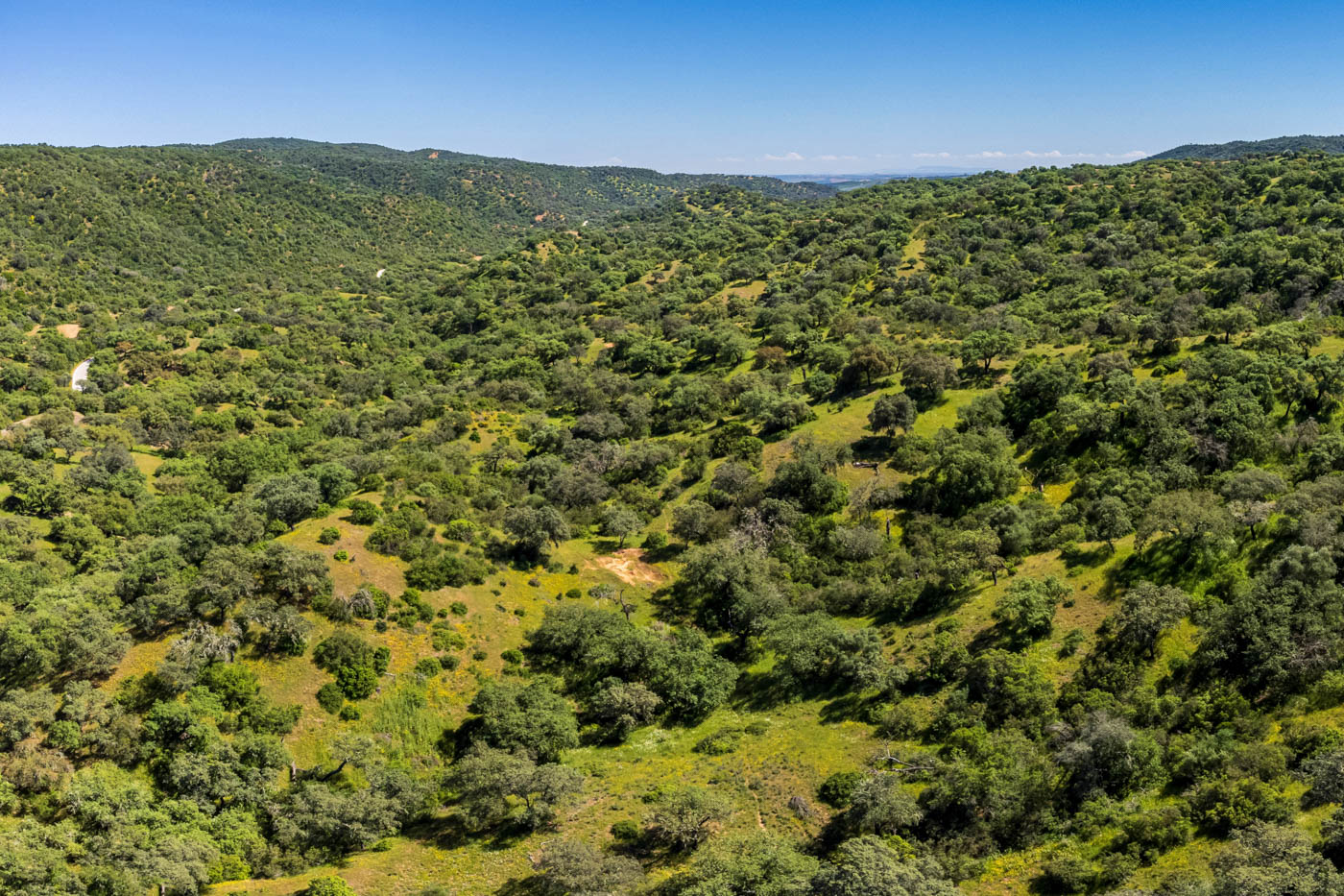 Your setting: National Park Sierra Hornachuelos