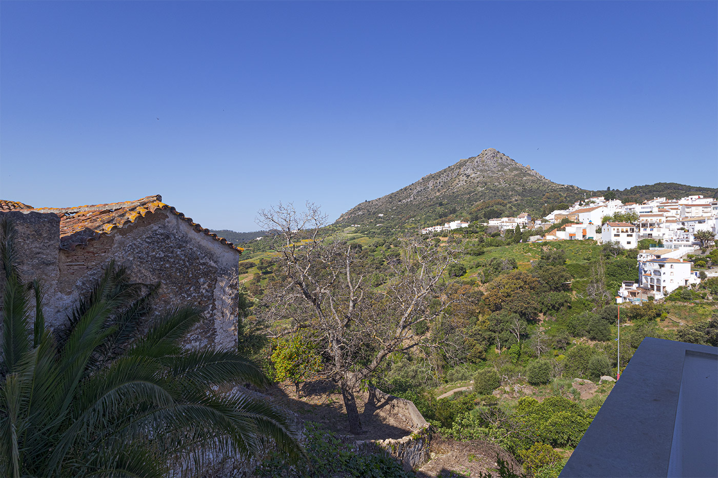 Mid level terrace views