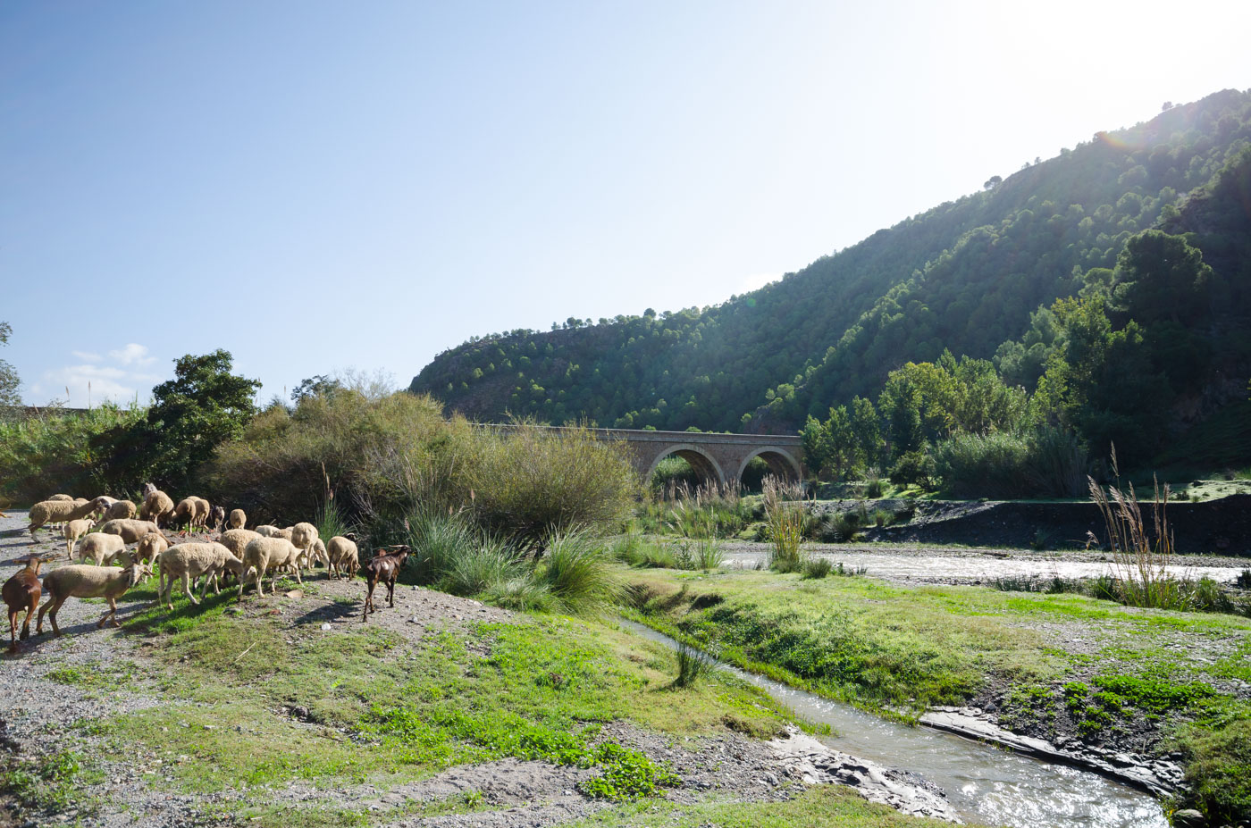 Local walk along Guadalfeo river