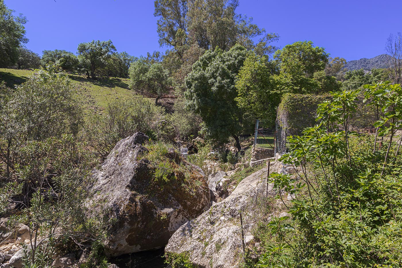 The little river seen from the property