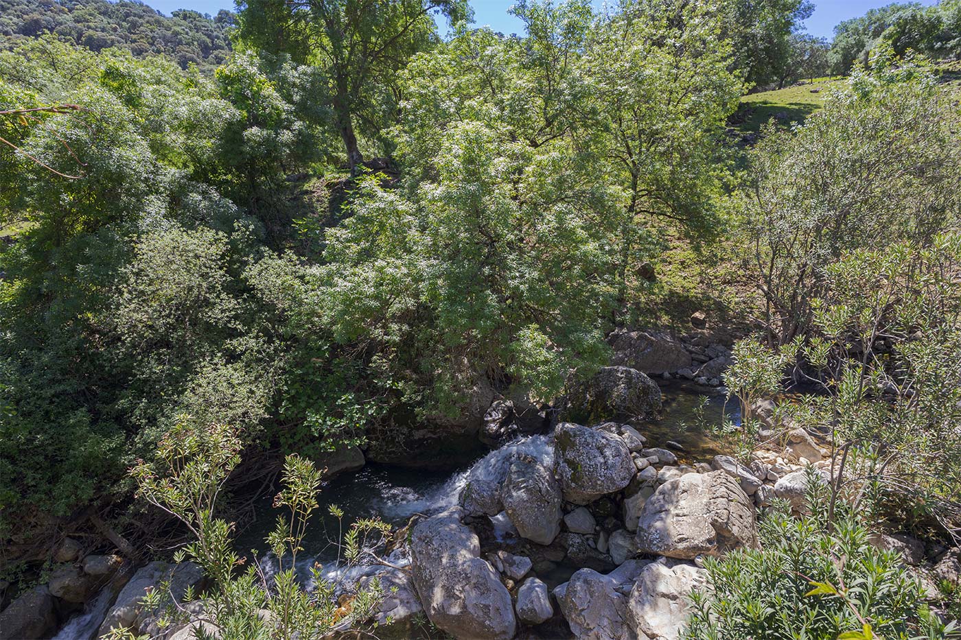 The little river passes by the finca