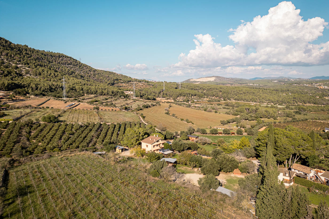You are in the Garraf National Park