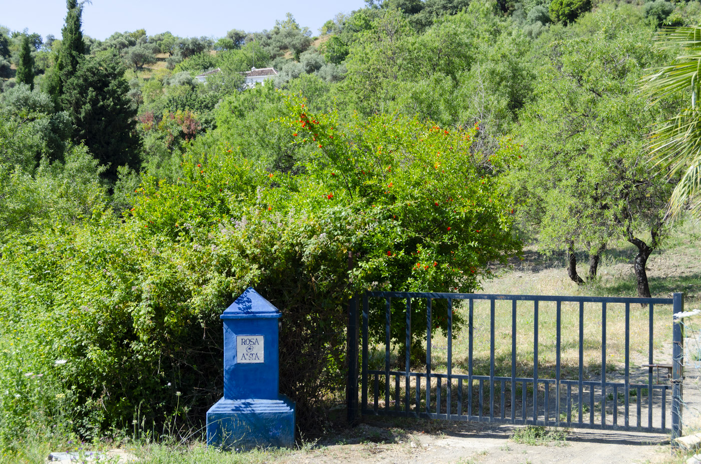 Cancela (no eléctrica) a tu fabuloso retiro vacacional