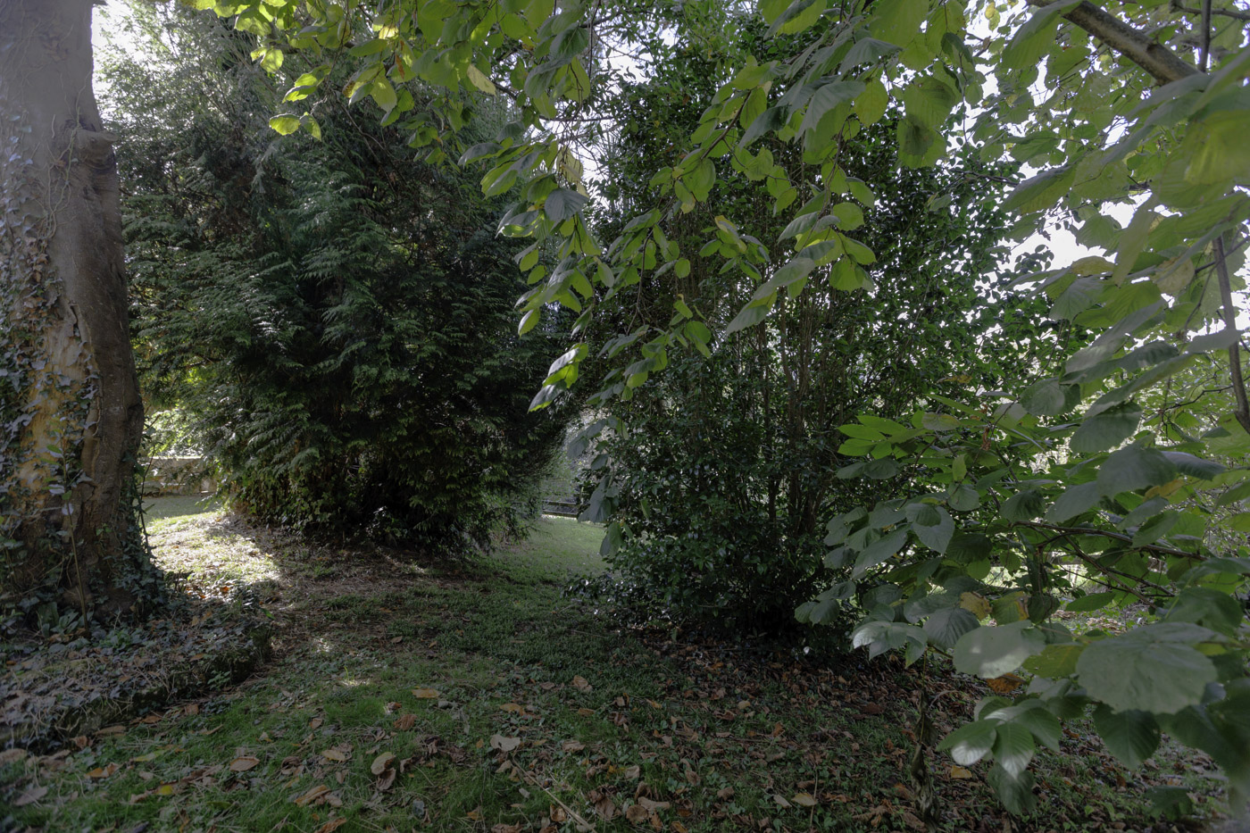 Tus jardines privados en otoño