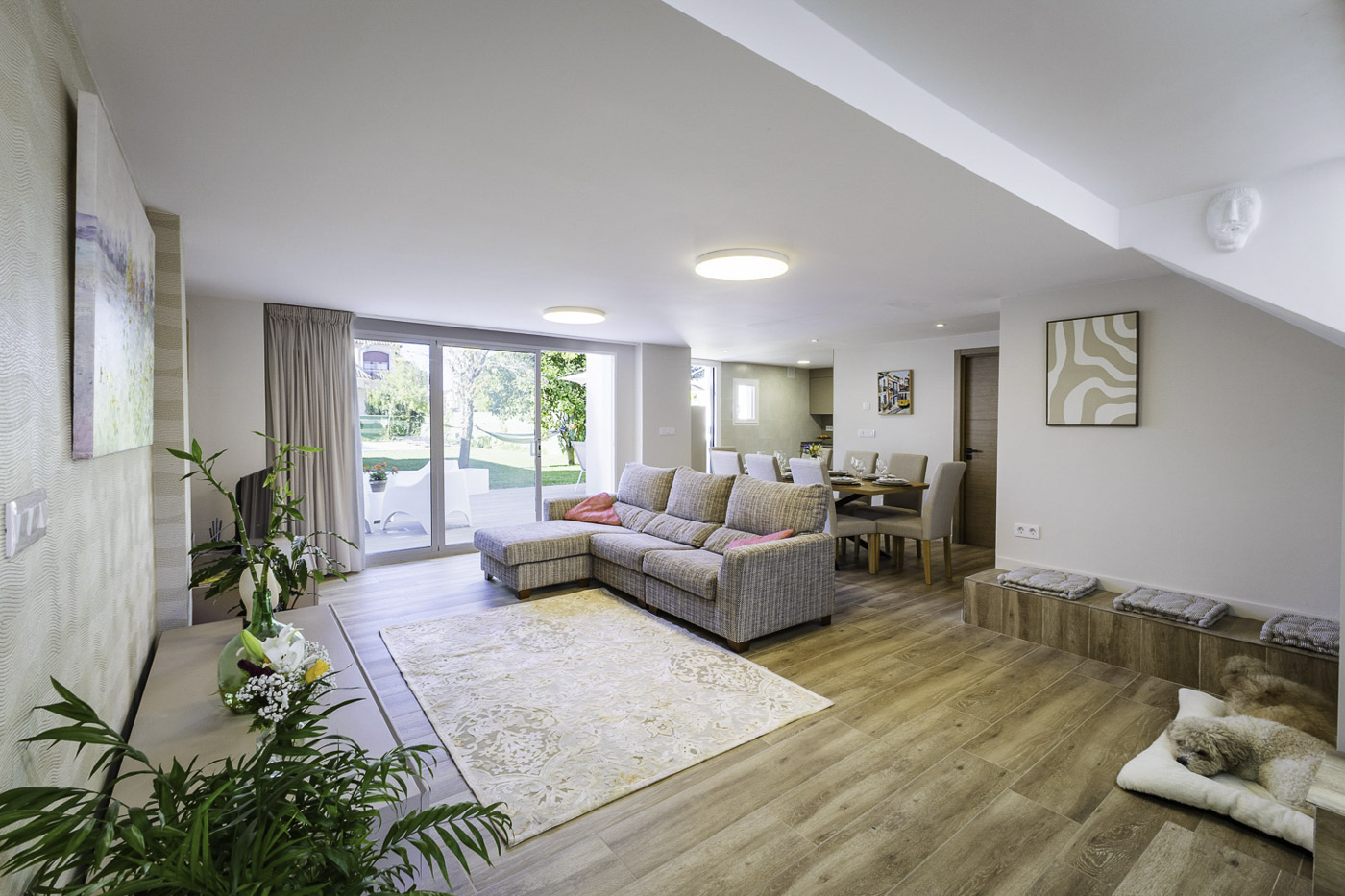 Zona de salón / comedor 