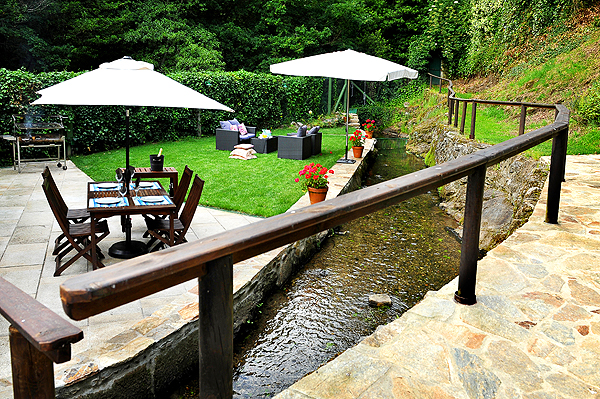 Pathway along the stream