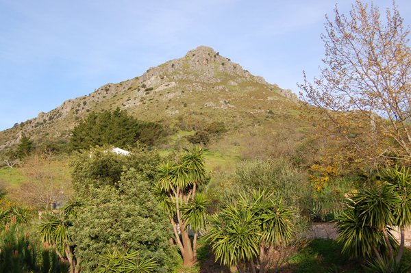 El Hacho from Gaucin