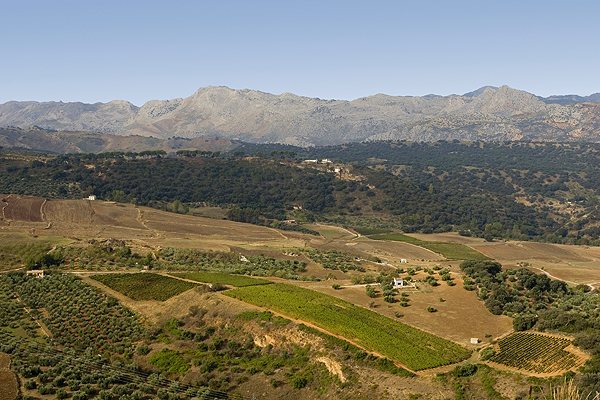 Views from Ronda town