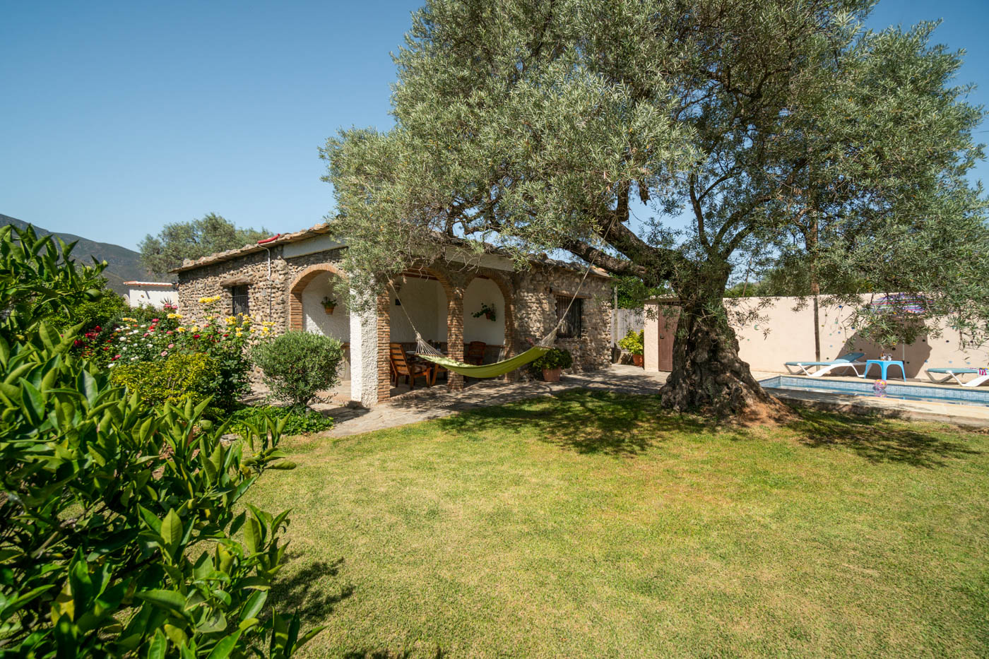 Zonas de césped con olivos y frutales