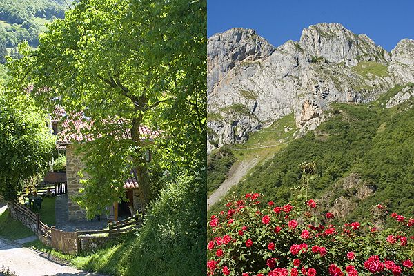 La casa y su entorno.