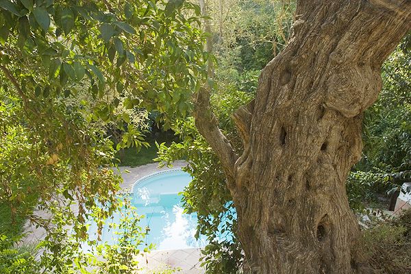 Los jardines disfrutan de buena privacidad