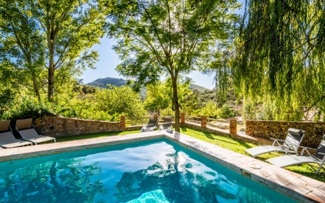 Shared 11 metre long pool