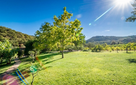 Large communal gardens