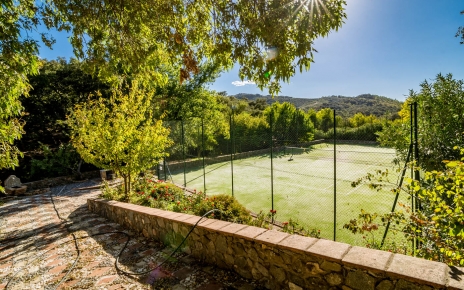 Tennis court at premises