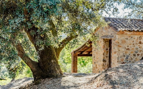 Juegos y WiFi disponibles en la sala común