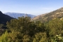 Your views (Summer photo)