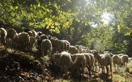 Escena de las Alpujarras