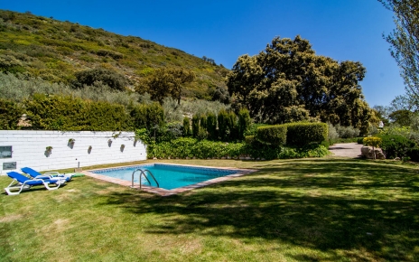 Lawned gardens and pool area