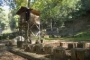 Jugar choza