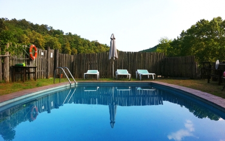 Piscina y tumbonas compartidas 