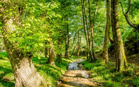 Little river runs along the property