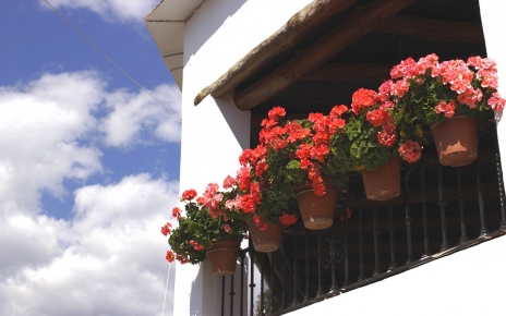 Typical flower pots found in traditional White Villages