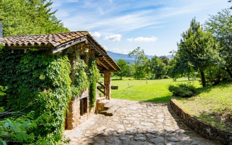 Courtyard and gardens