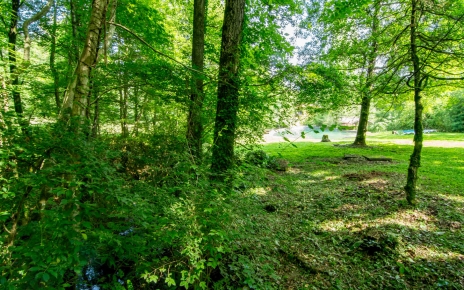 Your setting is bucolic and magical