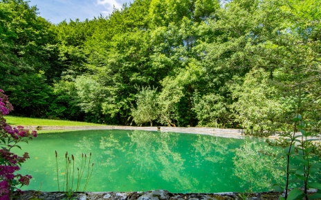 Natural unfiltered pool is deep and not gated