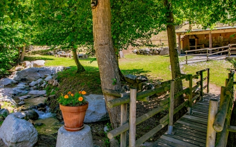 Charming arrival via wooden bridge
