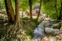 The cottage enjoys good privacy within the farmstead