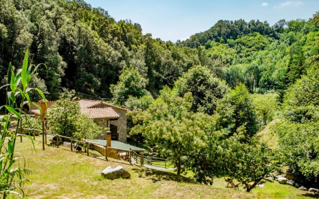 The house, hidden in flourishing greenery