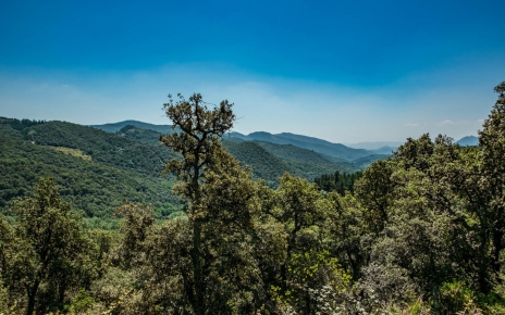 ...and this the valley seen from above
