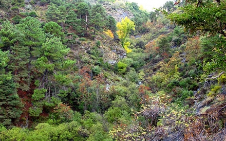 Rio Chico , deep ravines in Alpujarras are rich in nature