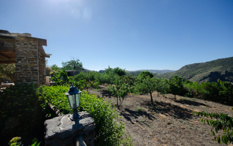 Sus propios huertos frutales, elija su fruta de temporada