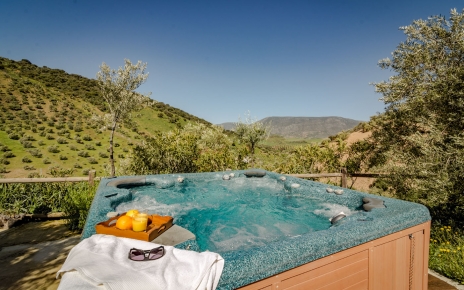 El jacuzzi sin calefacción es encantador durante los meses más calurosos 