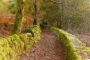 Local path